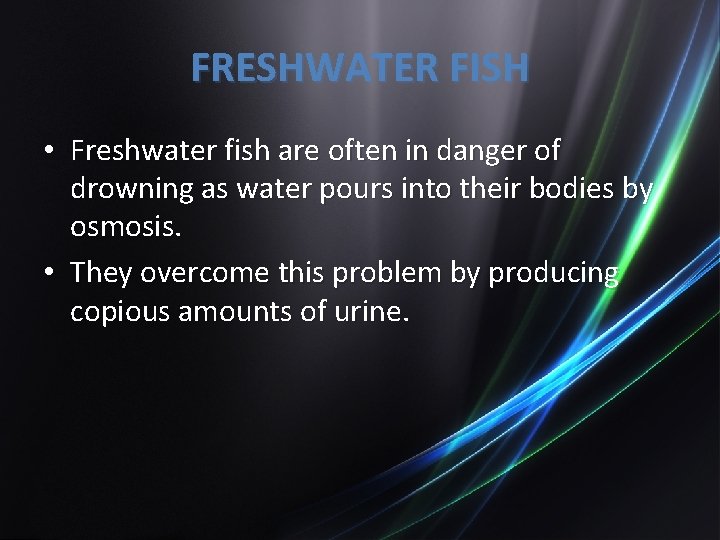 FRESHWATER FISH • Freshwater fish are often in danger of drowning as water pours