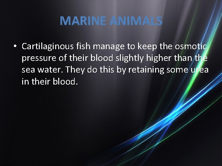 MARINE ANIMALS • Cartilaginous fish manage to keep the osmotic pressure of their blood