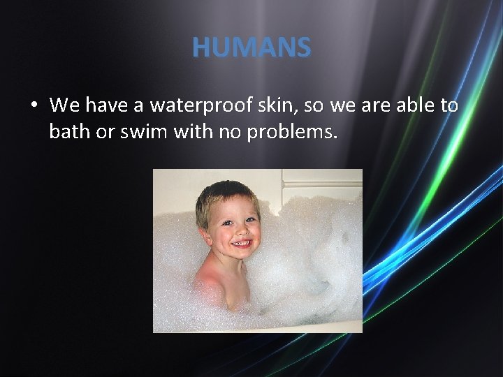 HUMANS • We have a waterproof skin, so we are able to bath or