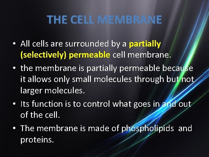 THE CELL MEMBRANE • All cells are surrounded by a partially (selectively) permeable cell
