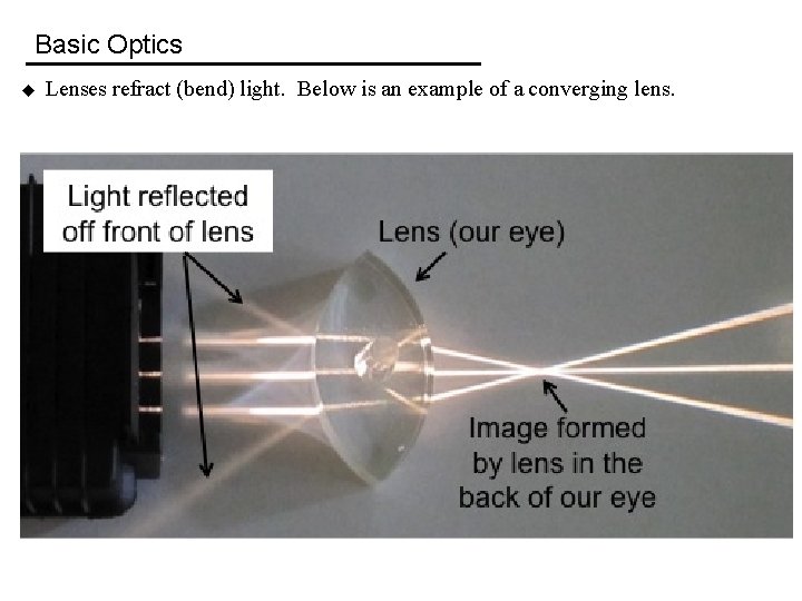 Basic Optics u Lenses refract (bend) light. Below is an example of a converging