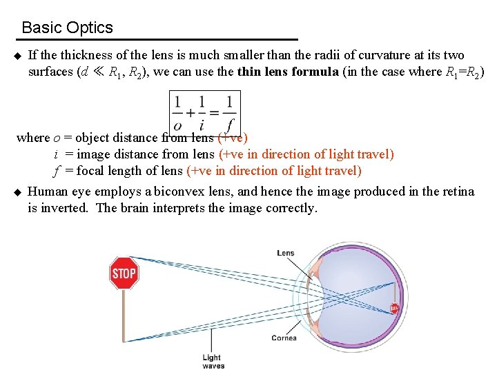 Basic Optics u If the thickness of the lens is much smaller than the