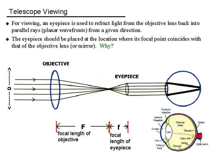 Telescope Viewing u u For viewing, an eyepiece is used to refract light from