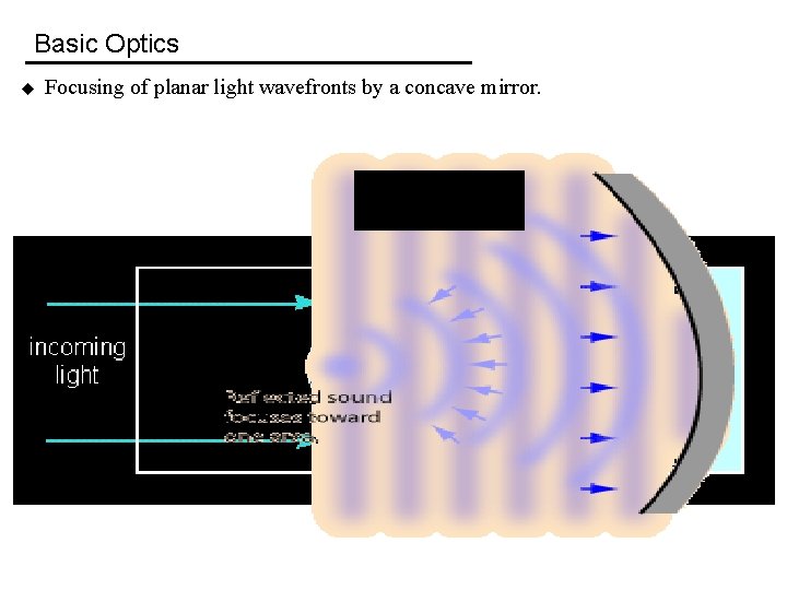 Basic Optics u Focusing of planar light wavefronts by a concave mirror. 