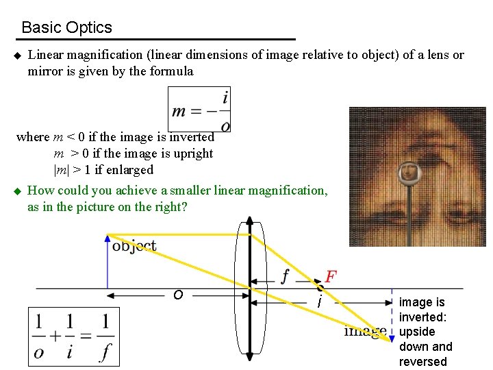 Basic Optics u Linear magnification (linear dimensions of image relative to object) of a