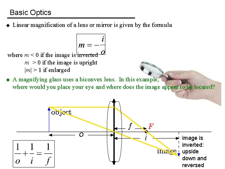 Basic Optics u Linear magnification of a lens or mirror is given by the