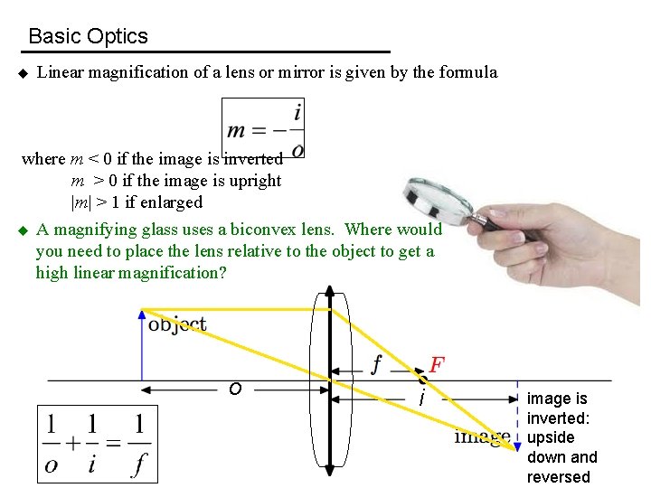 Basic Optics u Linear magnification of a lens or mirror is given by the