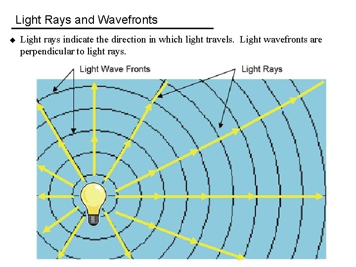 Light Rays and Wavefronts u Light rays indicate the direction in which light travels.