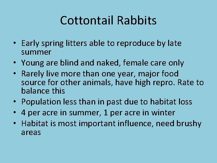 Cottontail Rabbits • Early spring litters able to reproduce by late summer • Young