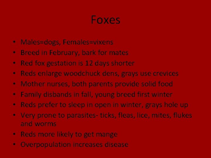 Foxes Males=dogs, Females=vixens Breed in February, bark for mates Red fox gestation is 12