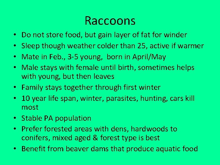 Raccoons • • • Do not store food, but gain layer of fat for