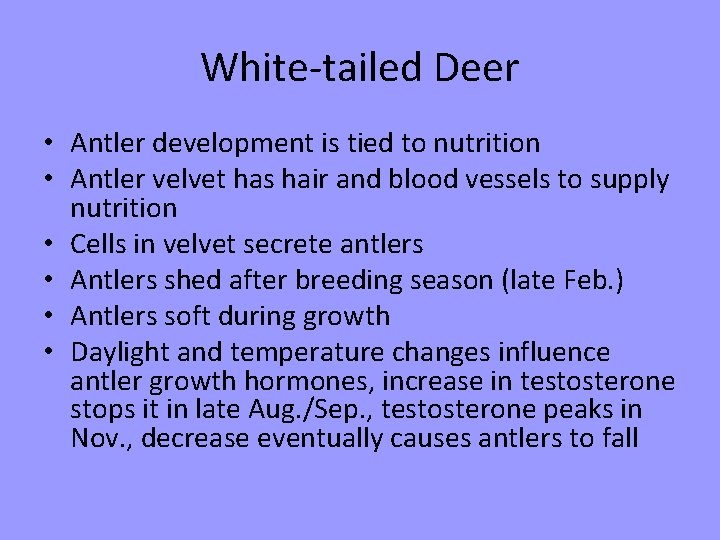 White-tailed Deer • Antler development is tied to nutrition • Antler velvet has hair