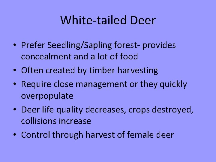 White-tailed Deer • Prefer Seedling/Sapling forest- provides concealment and a lot of food •