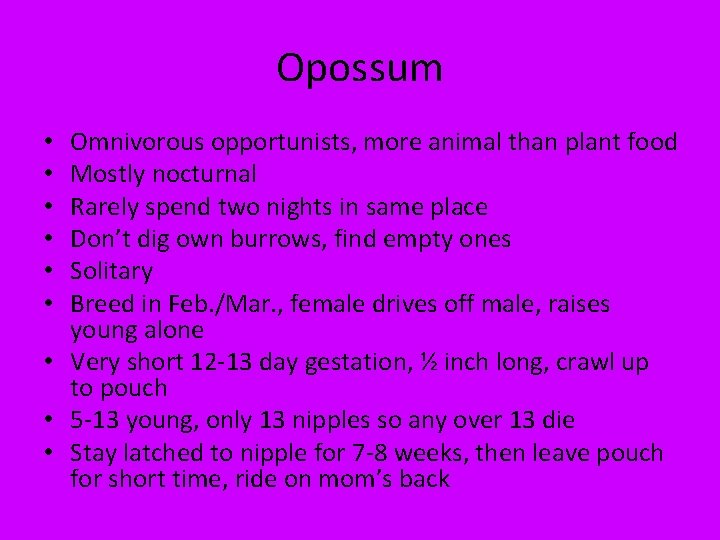 Opossum Omnivorous opportunists, more animal than plant food Mostly nocturnal Rarely spend two nights