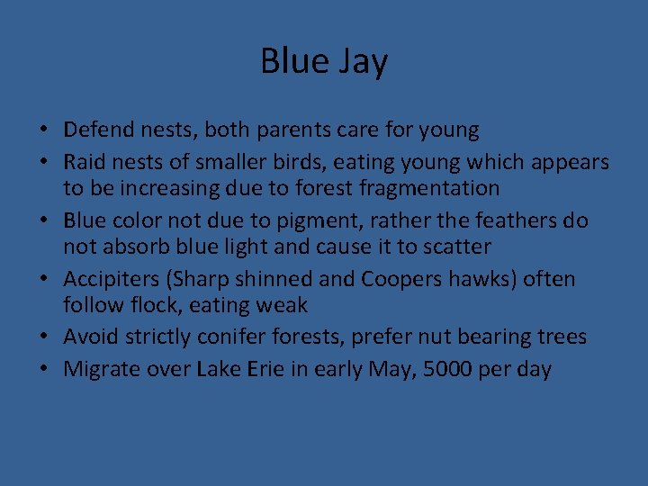 Blue Jay • Defend nests, both parents care for young • Raid nests of