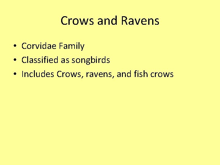 Crows and Ravens • Corvidae Family • Classified as songbirds • Includes Crows, ravens,