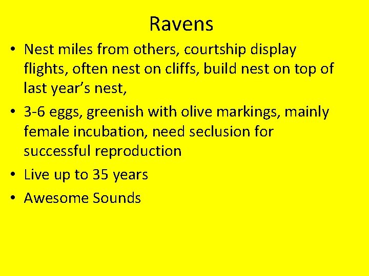 Ravens • Nest miles from others, courtship display flights, often nest on cliffs, build
