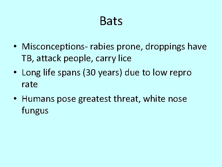 Bats • Misconceptions- rabies prone, droppings have TB, attack people, carry lice • Long