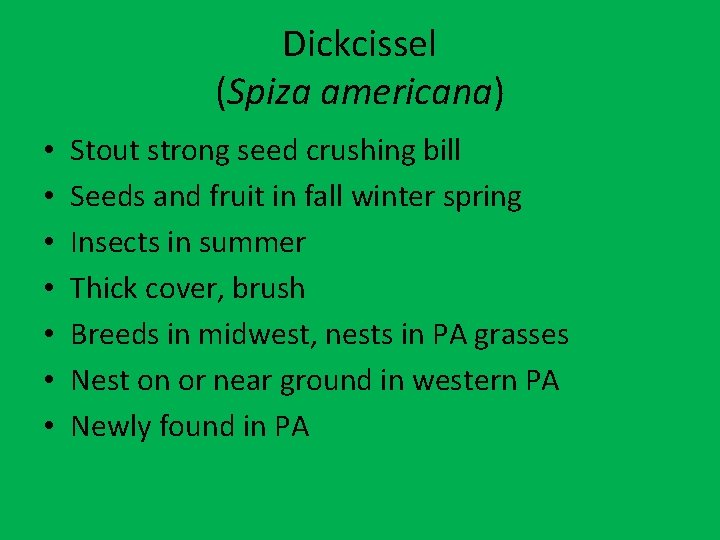 Dickcissel (Spiza americana) • • Stout strong seed crushing bill Seeds and fruit in