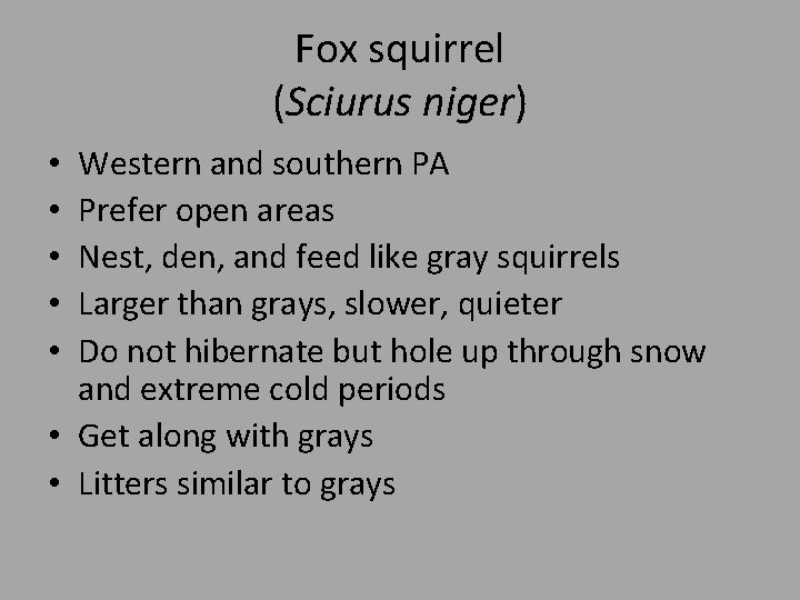 Fox squirrel (Sciurus niger) Western and southern PA Prefer open areas Nest, den, and