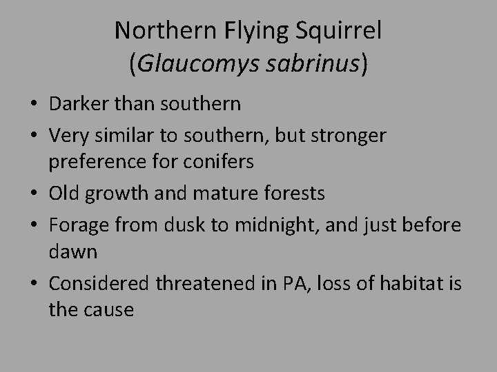 Northern Flying Squirrel (Glaucomys sabrinus) • Darker than southern • Very similar to southern,