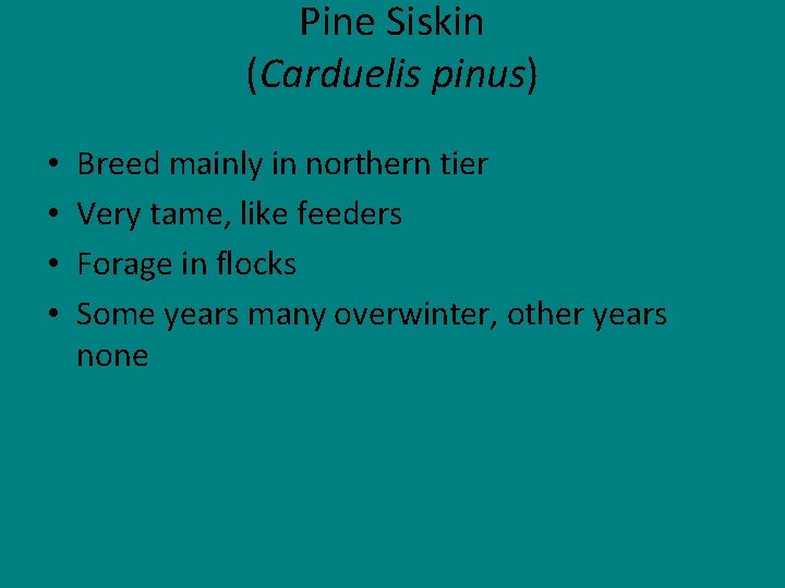 Pine Siskin (Carduelis pinus) • • Breed mainly in northern tier Very tame, like