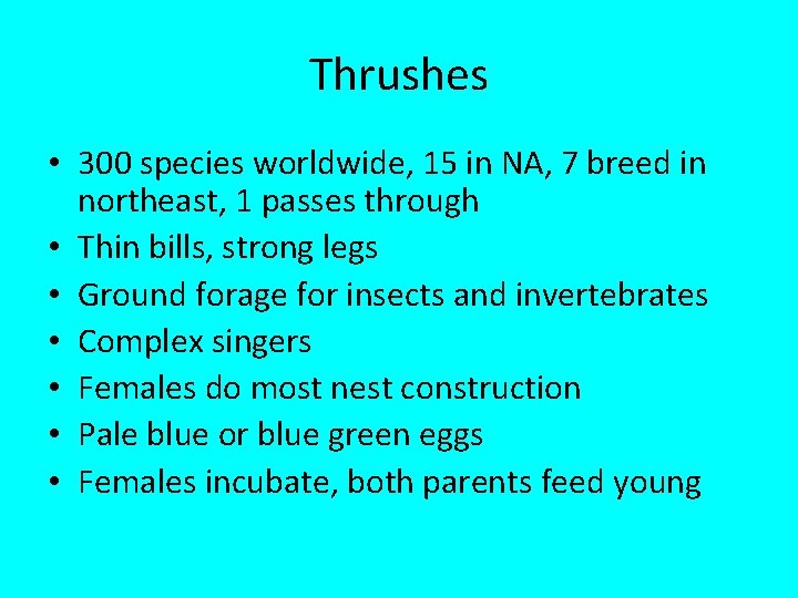 Thrushes • 300 species worldwide, 15 in NA, 7 breed in northeast, 1 passes