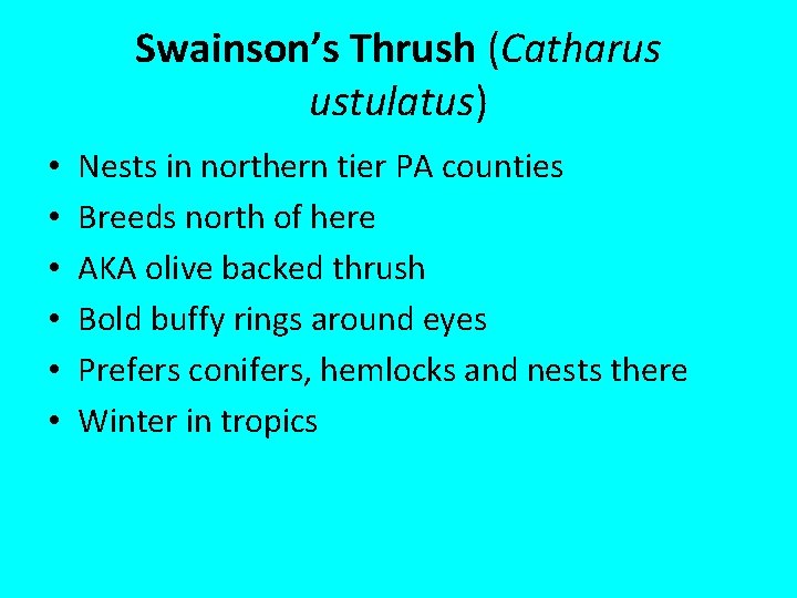 Swainson’s Thrush (Catharus ustulatus) • • • Nests in northern tier PA counties Breeds