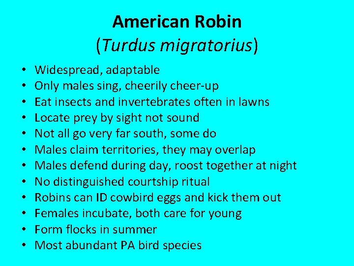 American Robin (Turdus migratorius) • • • Widespread, adaptable Only males sing, cheerily cheer-up