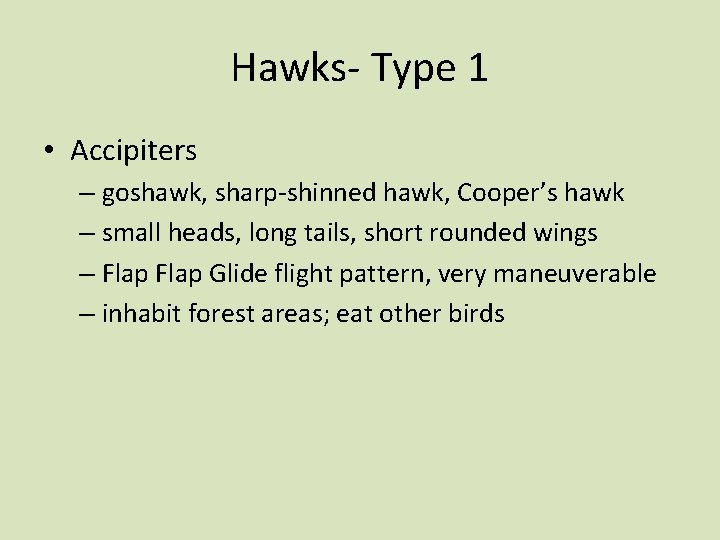 Hawks- Type 1 • Accipiters – goshawk, sharp-shinned hawk, Cooper’s hawk – small heads,