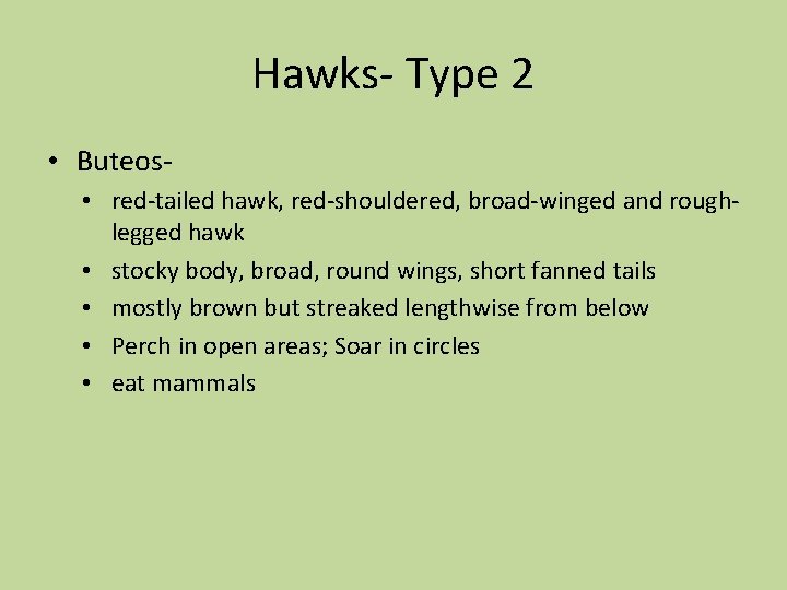 Hawks- Type 2 • Buteos • red-tailed hawk, red-shouldered, broad-winged and roughlegged hawk •