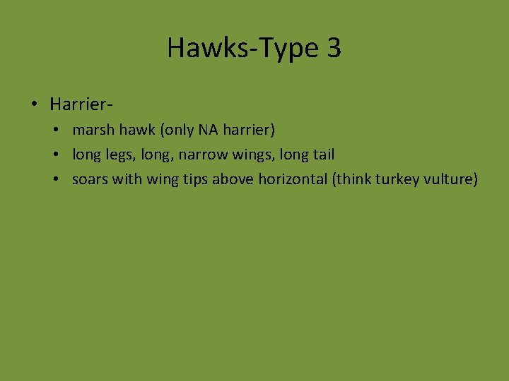 Hawks-Type 3 • Harrier • marsh hawk (only NA harrier) • long legs, long,