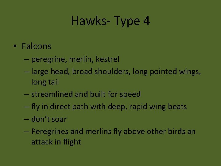 Hawks- Type 4 • Falcons – peregrine, merlin, kestrel – large head, broad shoulders,