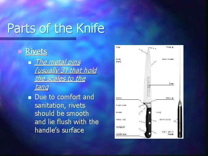 Parts of the Knife n Rivets n n The metal pins (usually 3) that