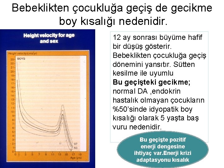 Bebeklikten çocukluğa geçiş de gecikme boy kısalığı nedenidir. 12 ay sonrası büyüme hafif bir