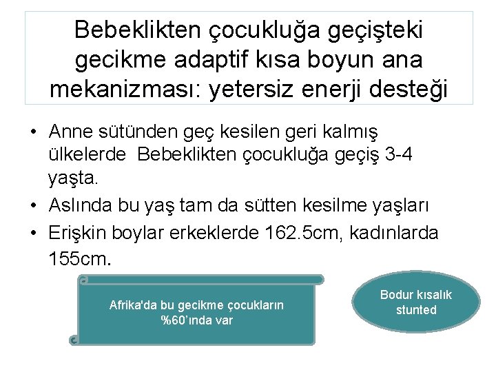 Bebeklikten çocukluğa geçişteki gecikme adaptif kısa boyun ana mekanizması: yetersiz enerji desteği • Anne