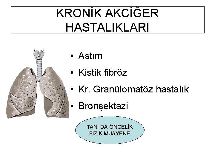 KRONİK AKCİĞER HASTALIKLARI • Astım • Kistik fibröz • Kr. Granülomatöz hastalık • Bronşektazi