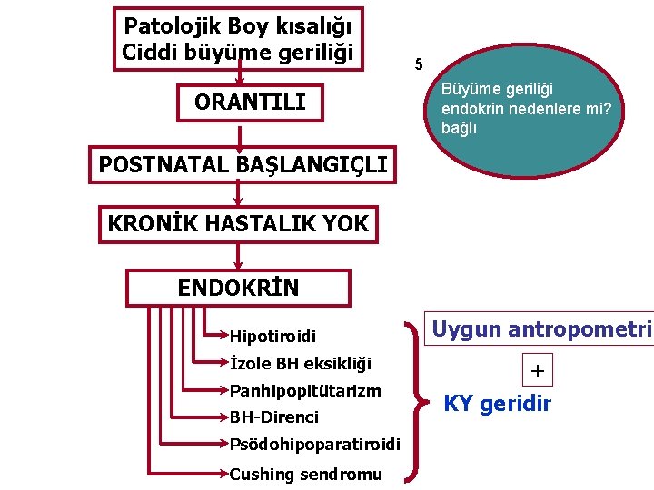 Patolojik Boy kısalığı Ciddi büyüme geriliği ORANTILI 5 Büyüme geriliği endokrin nedenlere mi? bağlı