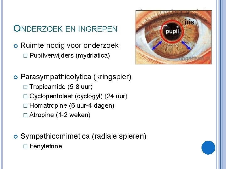 ONDERZOEK EN INGREPEN Ruimte nodig voor onderzoek � Pupilverwijders (mydriatica) Parasympathicolytica (kringspier) � Tropicamide