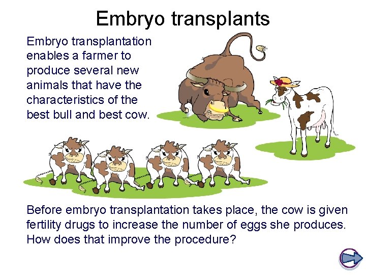 Embryo transplants Embryo transplantation enables a farmer to produce several new animals that have