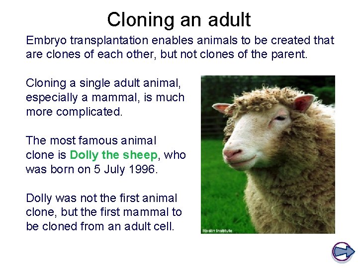 Cloning an adult Embryo transplantation enables animals to be created that are clones of