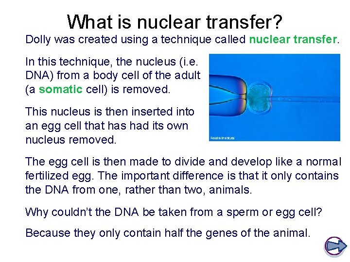 What is nuclear transfer? Dolly was created using a technique called nuclear transfer. In