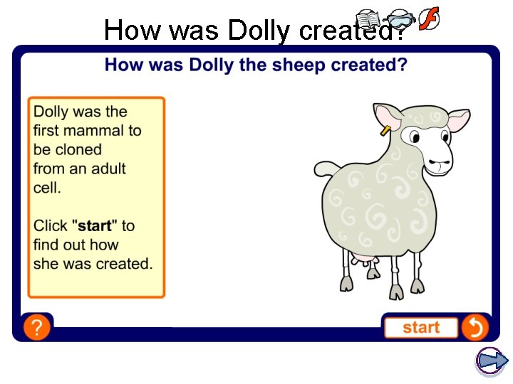 How was Dolly created? 