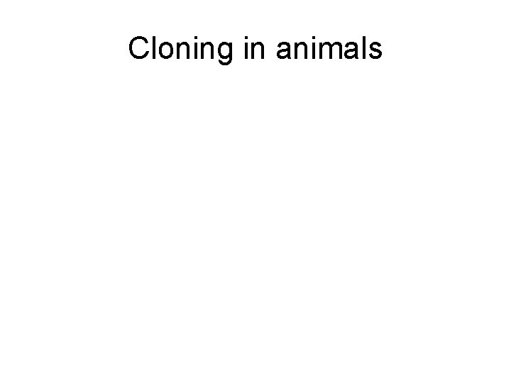 Cloning in animals 