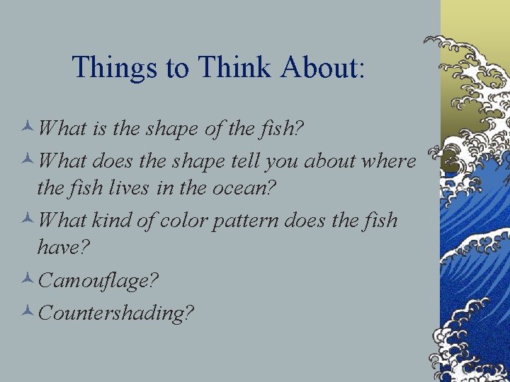 Things to Think About: ©What is the shape of the fish? ©What does the