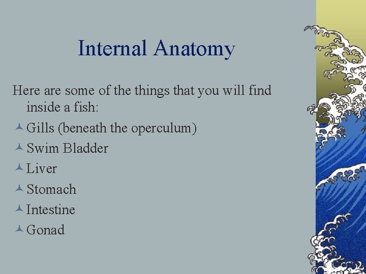 Internal Anatomy Here are some of the things that you will find inside a