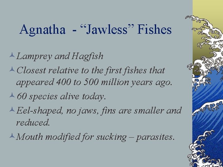 Agnatha - “Jawless” Fishes ©Lamprey and Hagfish ©Closest relative to the first fishes that