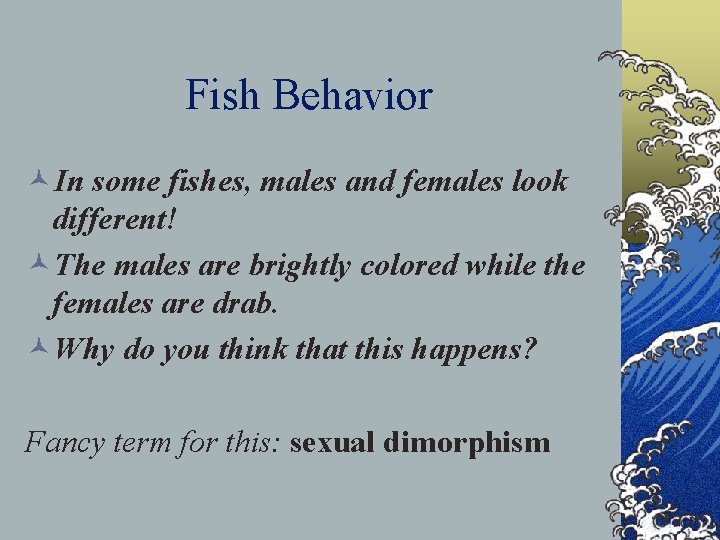 Fish Behavior ©In some fishes, males and females look different! ©The males are brightly