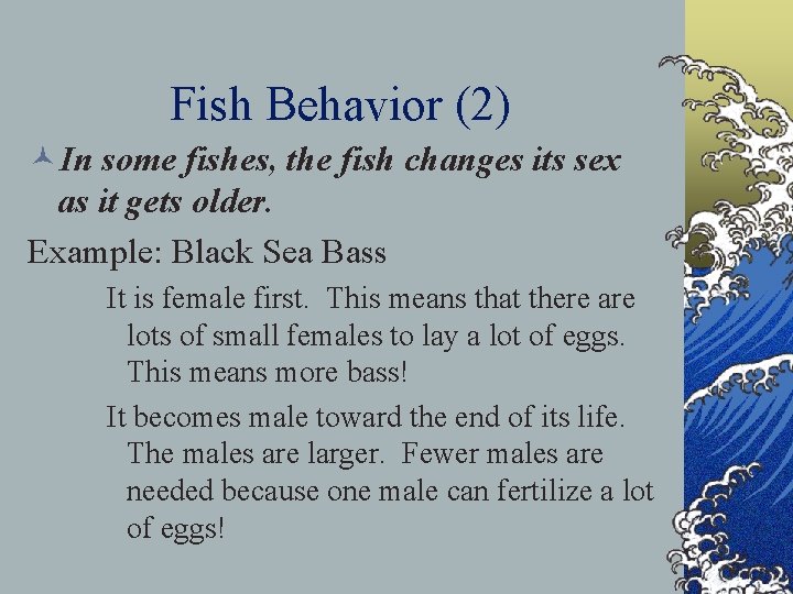 Fish Behavior (2) ©In some fishes, the fish changes its sex as it gets