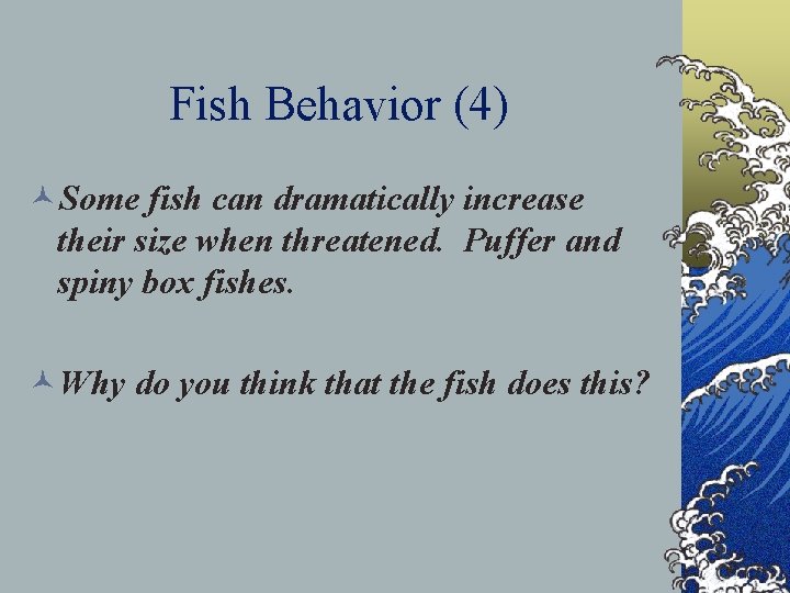 Fish Behavior (4) ©Some fish can dramatically increase their size when threatened. Puffer and